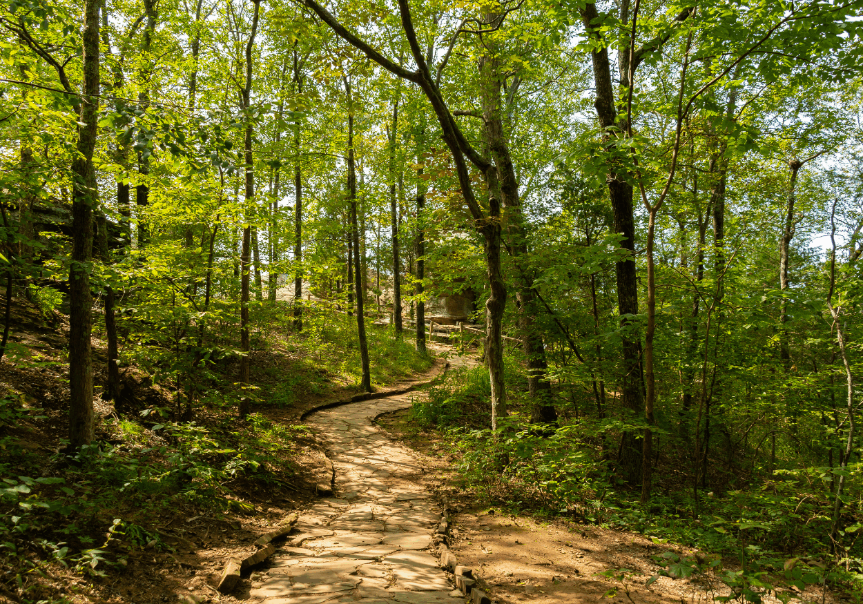 West Oak Trails, Oakville