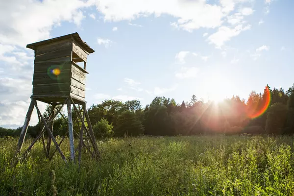 How to Find the Perfect Tract of Land for Your Needs in Georgia,Dekota Oechsle