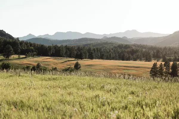feature image of Black Hills of South Dakota Outdoor Activities 