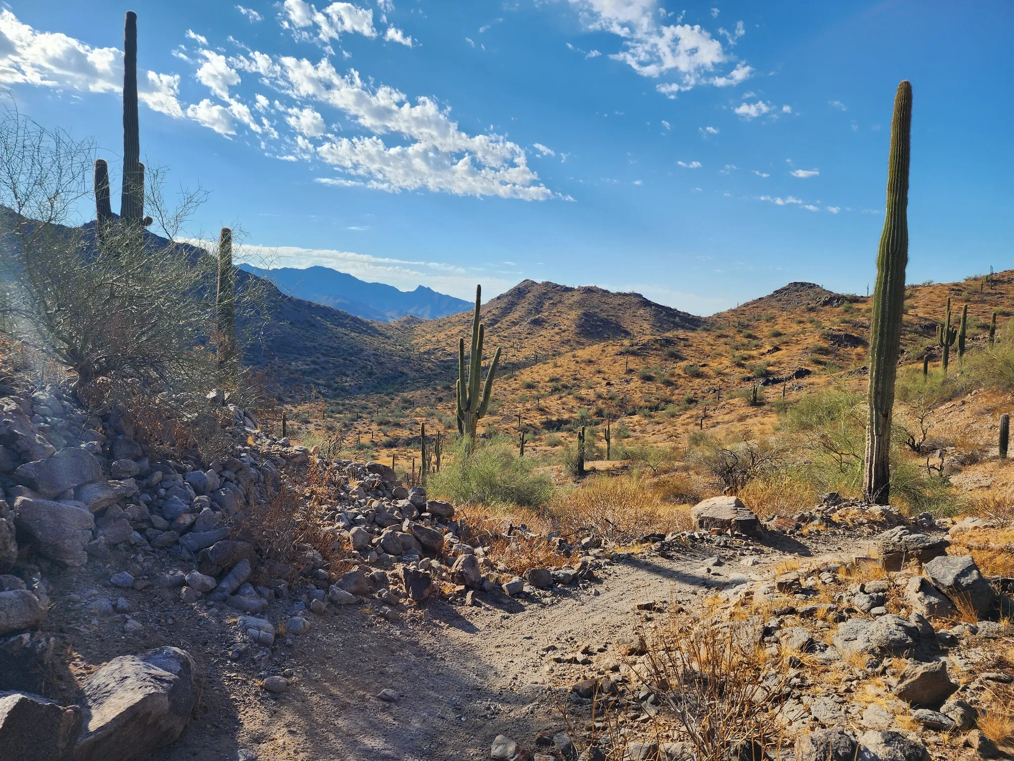 Rainbow Valley.webp
