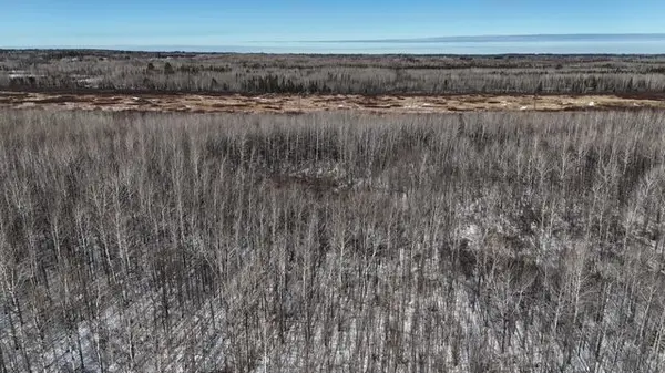 30+ Acres of Land in Carlton w/Prime Hunting Areas,Chuck Carstensen