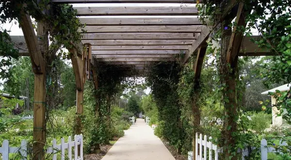 Botanical Gardens