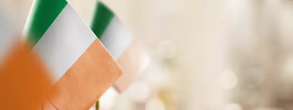 NOLA’s St. Patrick’s Day: Parades, Parties & Flying Cabbage! 