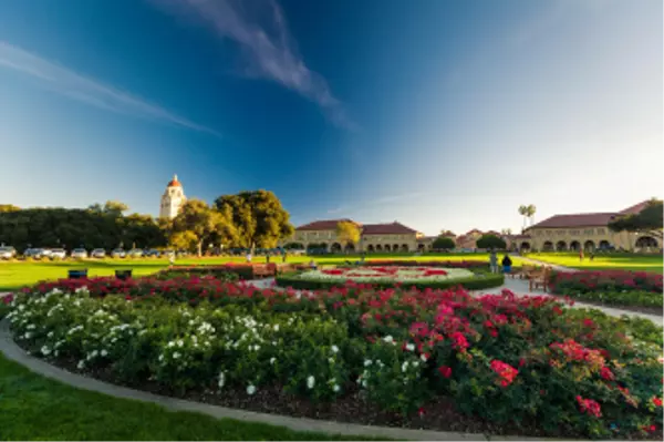 feature image of The Peninsula&#39;s Crown Jewel: Rediscovering Palo Alto&#39;s Neighborhoods One Canopy at a Time