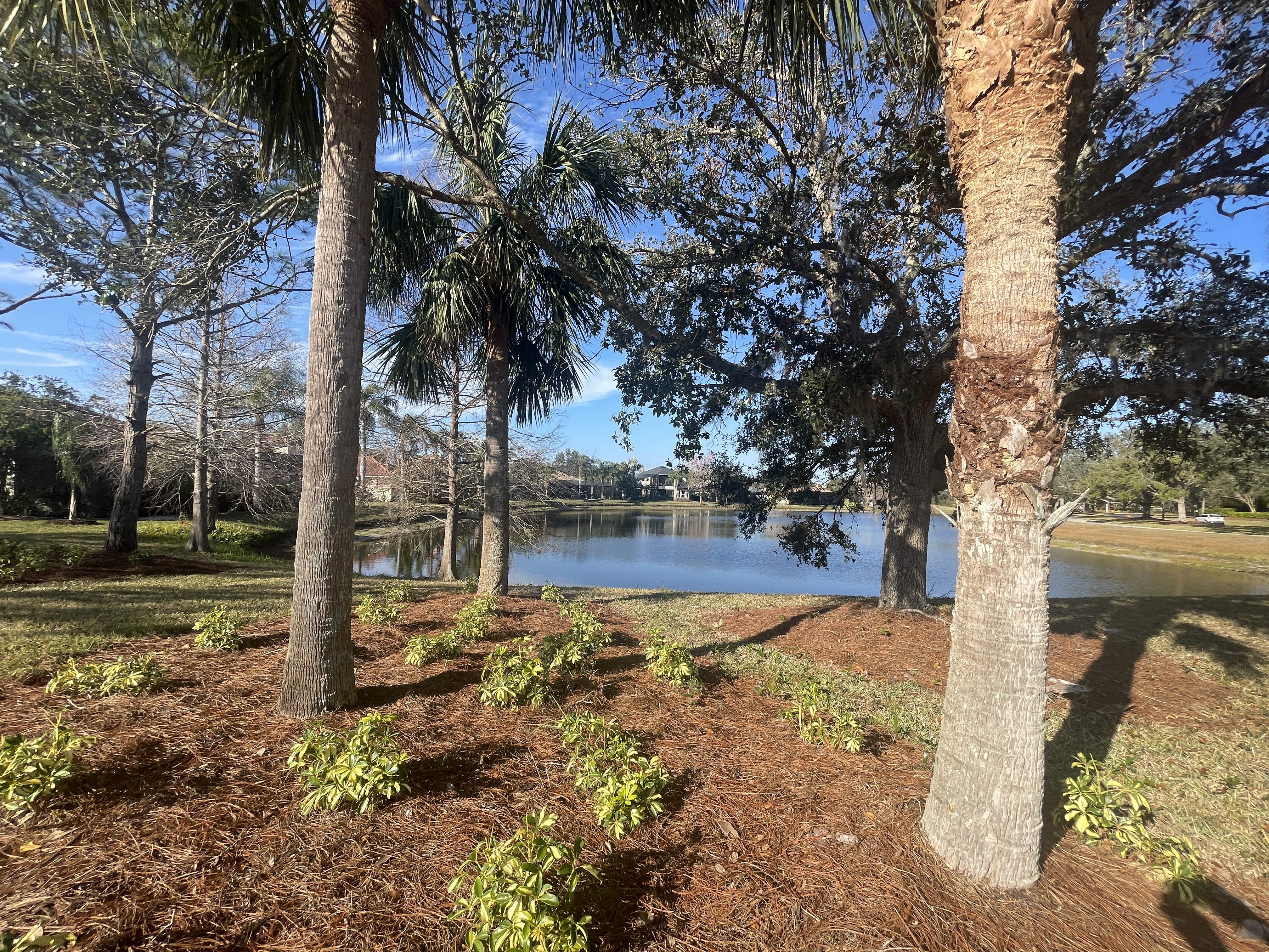 greenbrook village lakewood ranch | the 941 lifestyle group