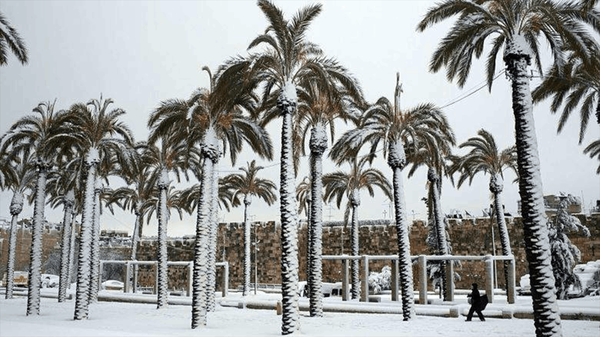 How the End of Winter Affects NYC’s Real Estate Market and Tourism – What to Expect in 2025