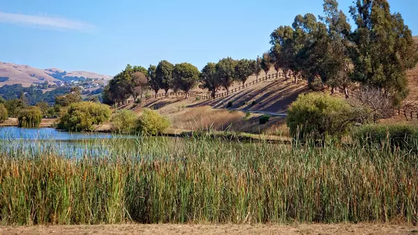 Milpitas08