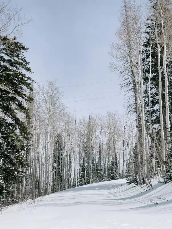 Where To Go for Every Day Needs Around Bear Lake