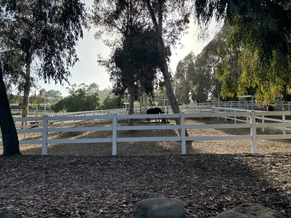 Olivenhain Horse Properties