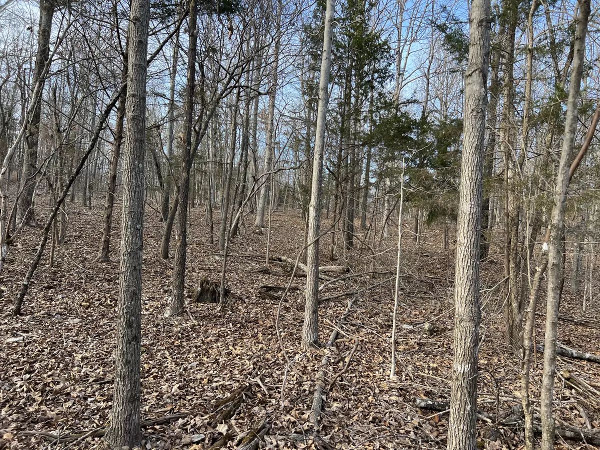 Lot for Sale in Thayer MIssouri1