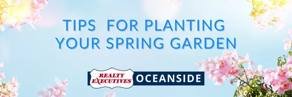 Tips For Planting Your Spring Garden,Realty Executives Oceanside