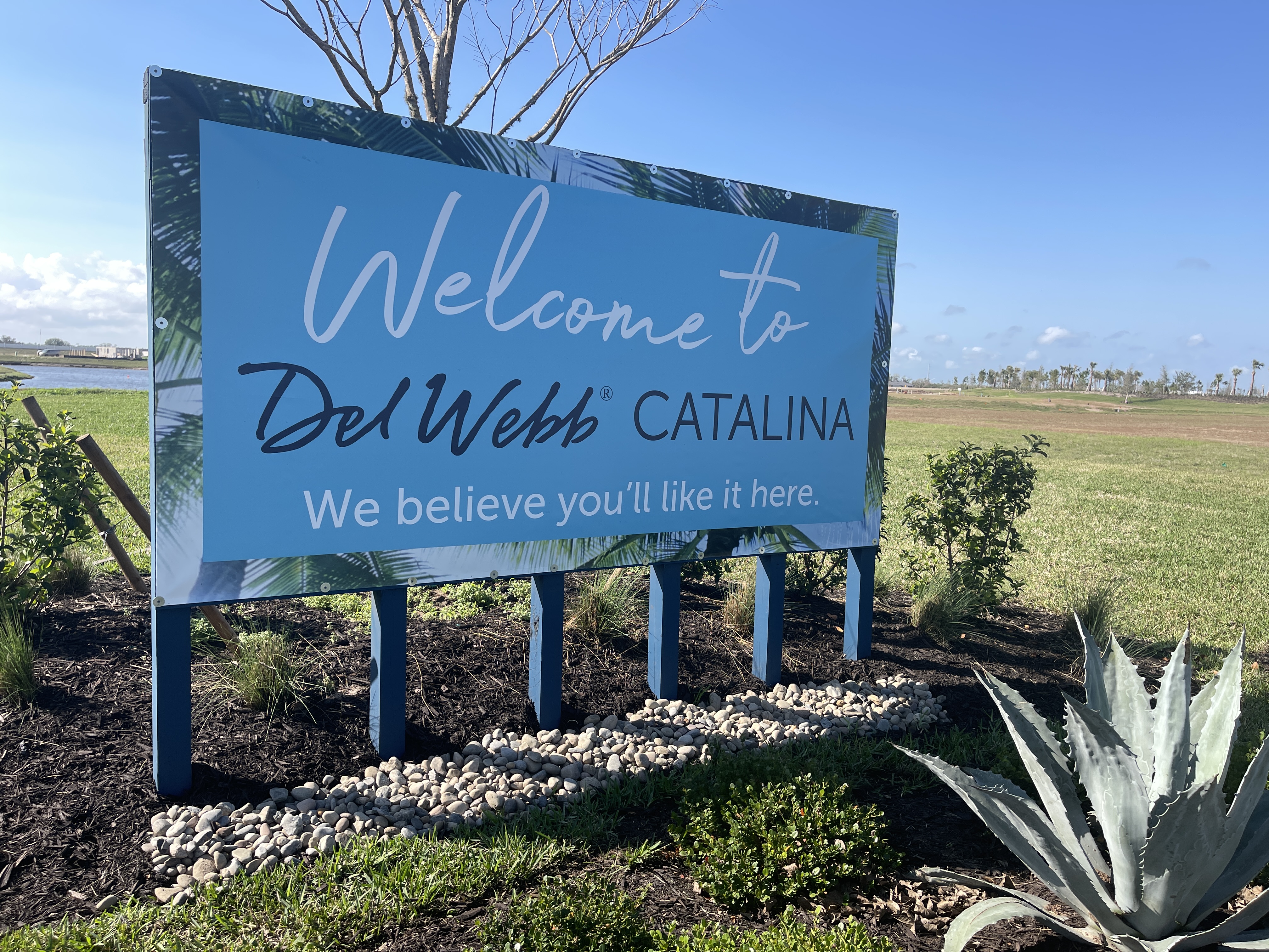 del webb catalina 