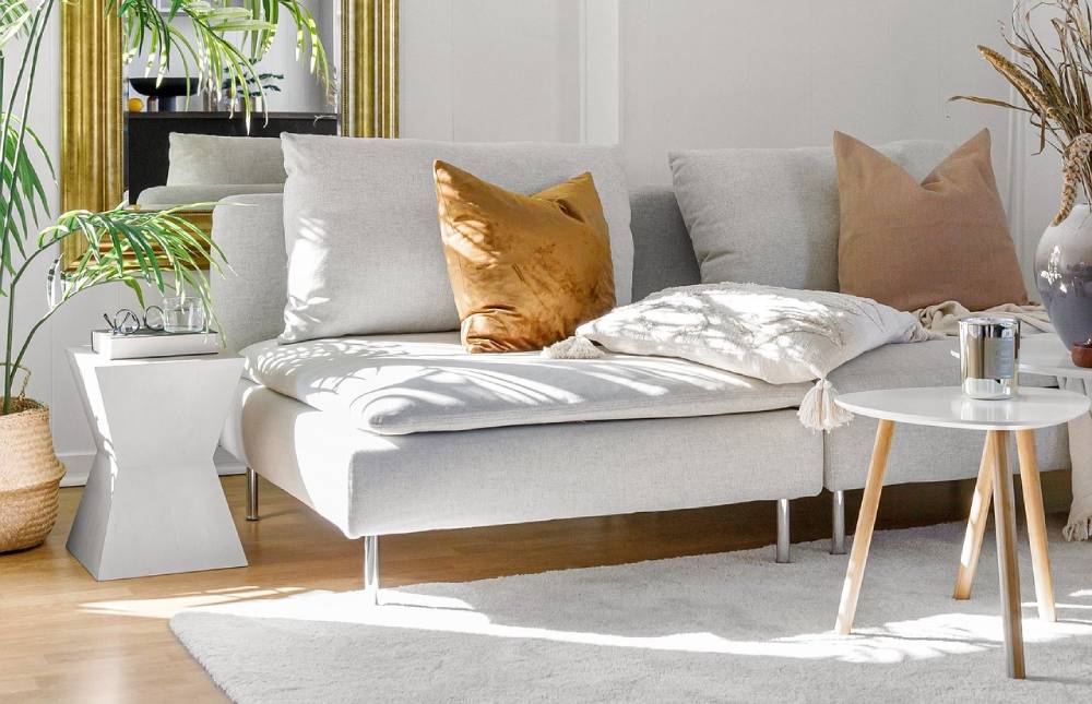 Dining area with a large table and plants