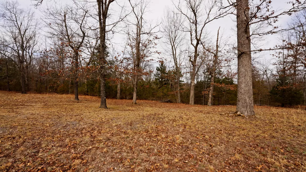 Lot 18