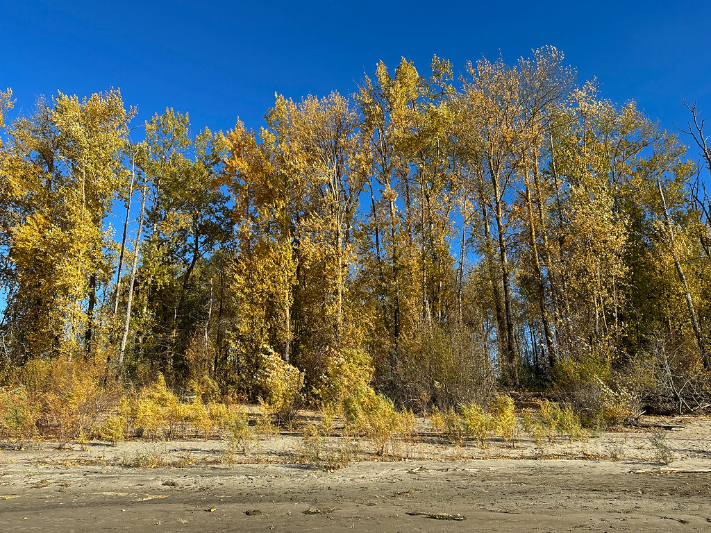 Washougal is a Nature Lover’s Paradise