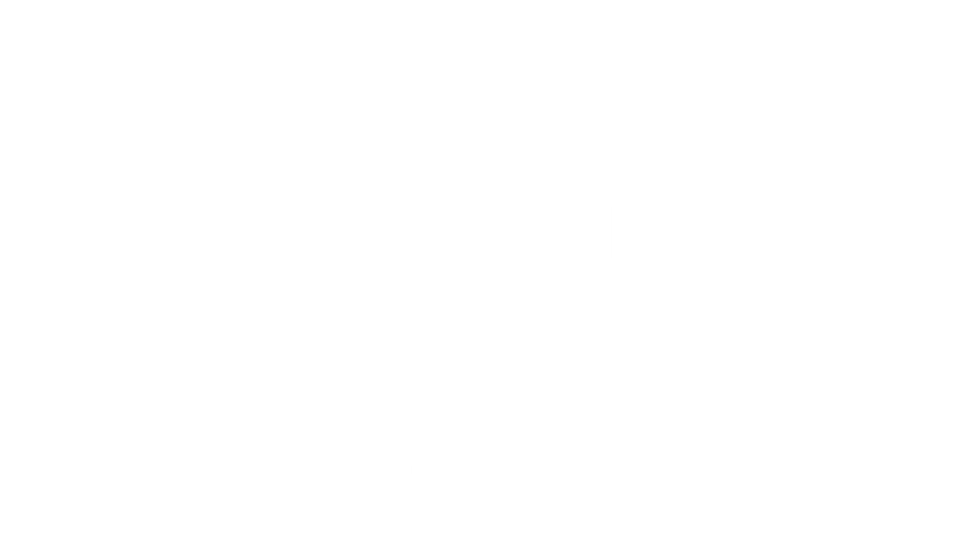 Solis & Co. Realty Group
