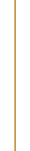 Gold Line