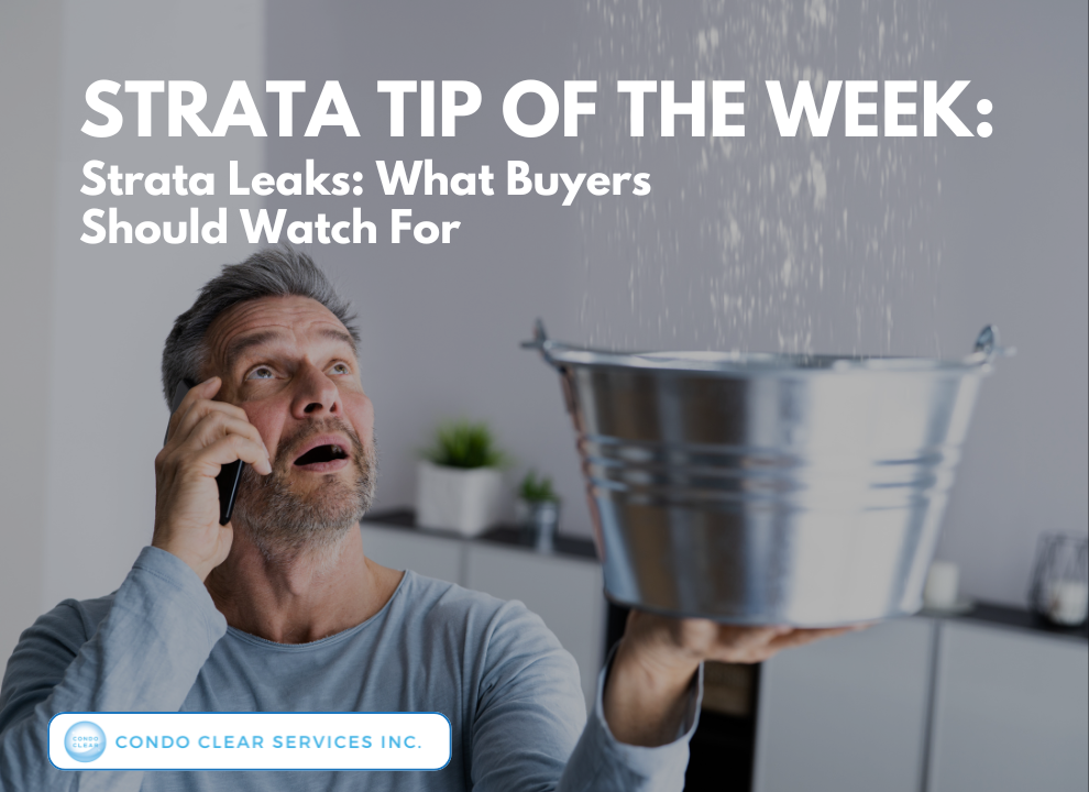 feature image of Strata Tip of the Week - Strata Leaks: What Buyers Should Watch For