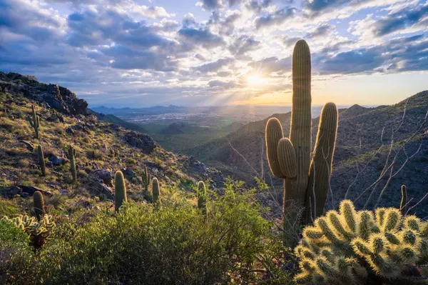 Leah Burr Realtor Arizona Real Estate Agent Arizona Home Team Realty One Group (14)