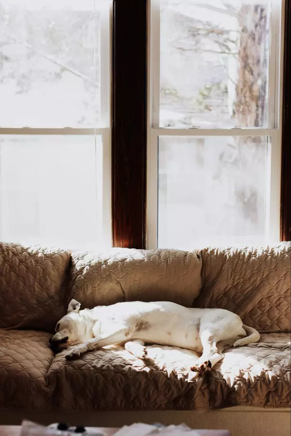 Selling a home with pets?