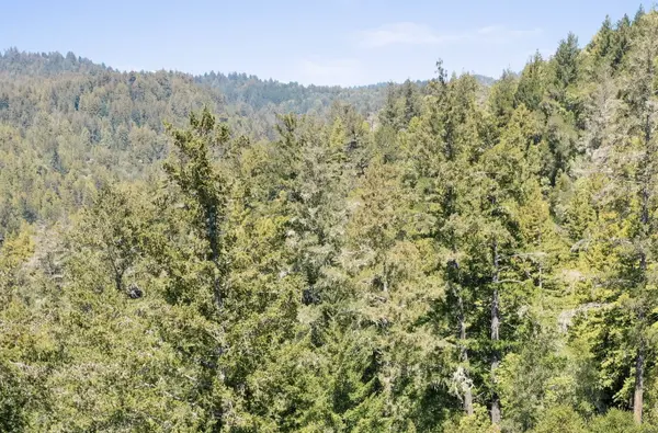 470 Upland Dr, Boulder Creek, CA 95006