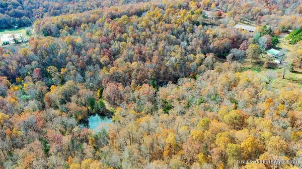 938 N Fairview Rd, Mammoth Spring, AR 72554