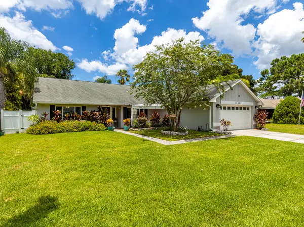 16606 Round Oak Dr, Tampa, FL 33618