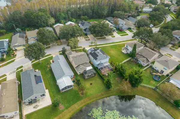 7901 Citrus Blossom Dr, Land O Lakes, FL 34637