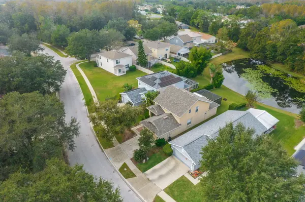 7901 Citrus Blossom Dr, Land O Lakes, FL 34637