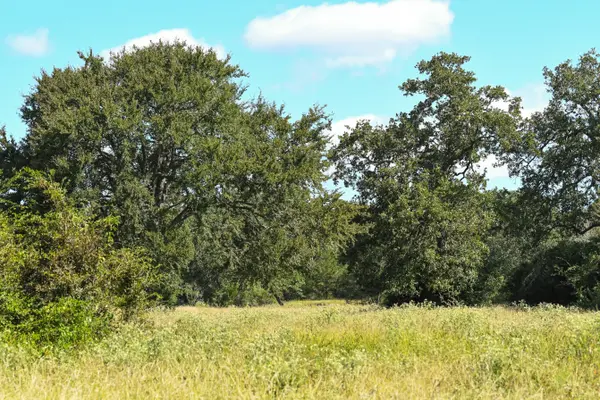 13766 Bundic Rd, North Zulch, TX - Tract 10