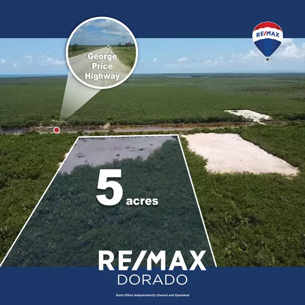Mile 7, George Price Highway, District
