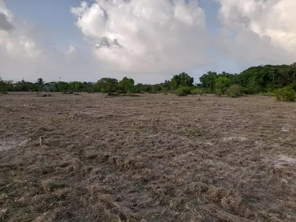 Belize District,,Burrell Boom Village