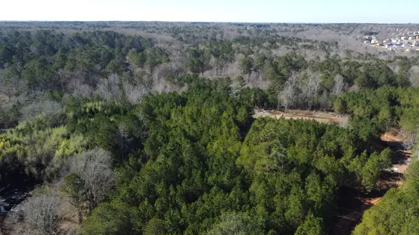 Flakes Mill Rd, Ellenwood, GA 30294
