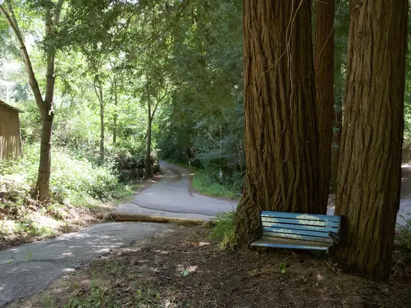 420 Outer Zayante Rd, Los Gatos, CA 95033