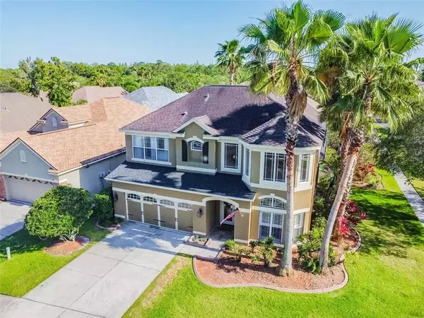 11244 Blacksmith Dr, Tampa, FL 33626