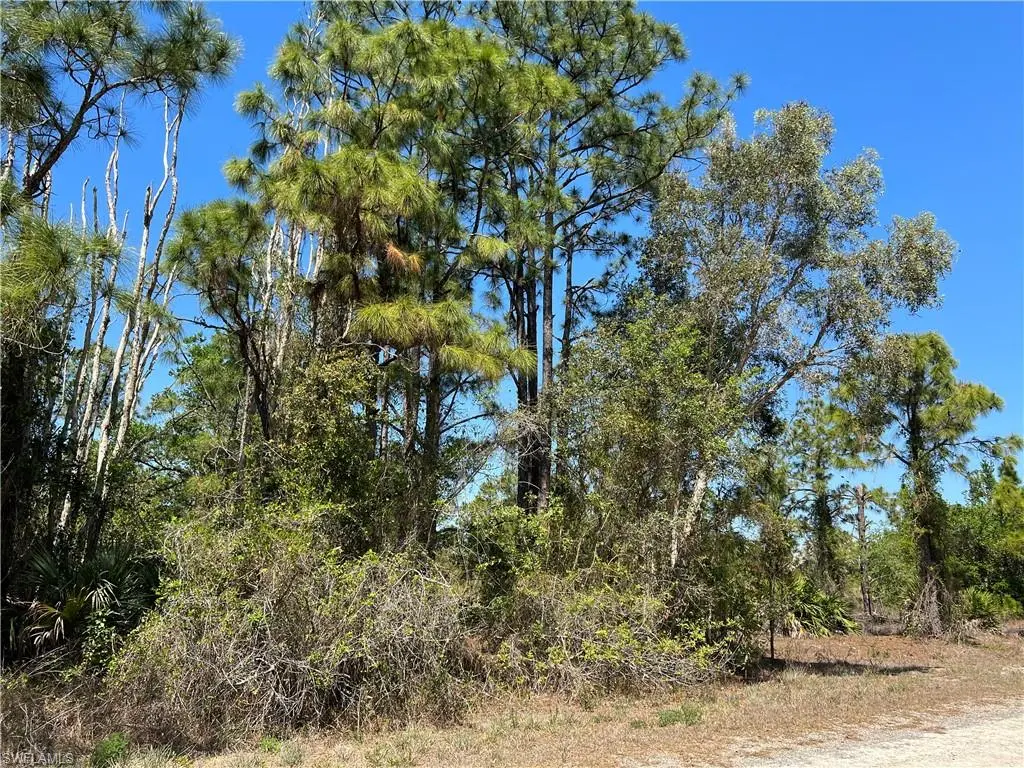 714 Chapman Ave S, Lehigh Acres, FL 33974