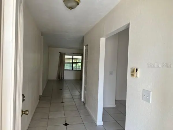 12708 Trucious Pl, Tampa, FL 33625