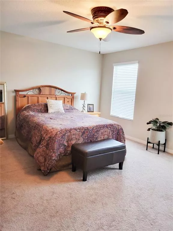 Tampa, FL 33647,20022 Satin Leaf Ave