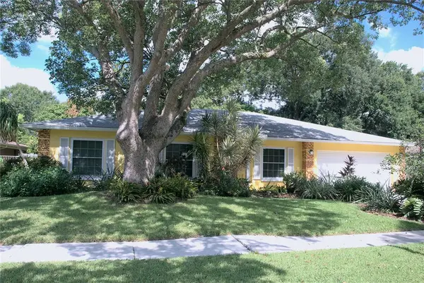 13308 Lake George Ln, Tampa, FL 33618