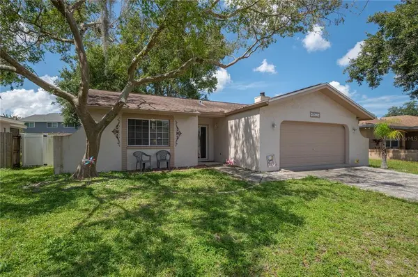 4820 Cypress Tree Dr, Tampa, FL 33624