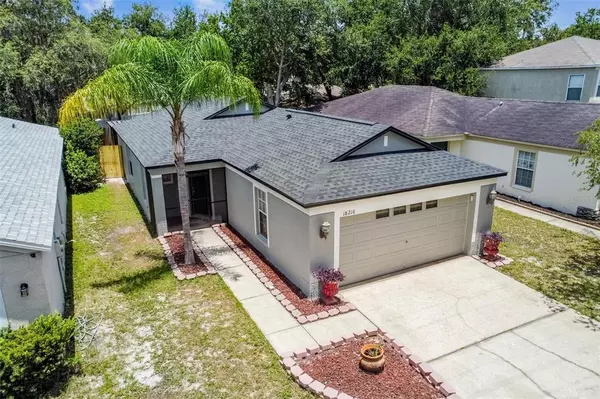 18216 Birdwater Dr, Tampa, FL 33647