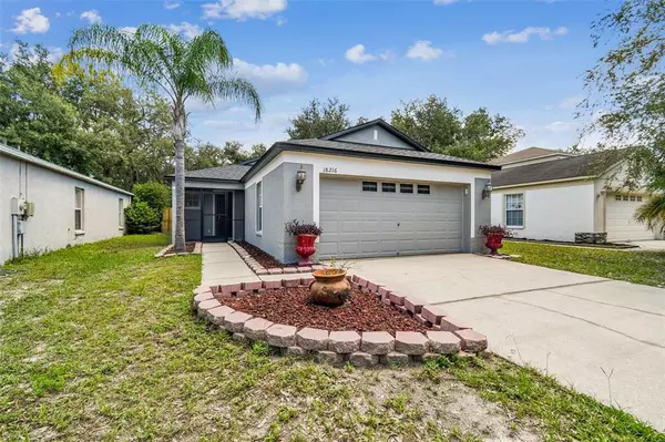 Tampa, FL 33647,18216 Birdwater Dr