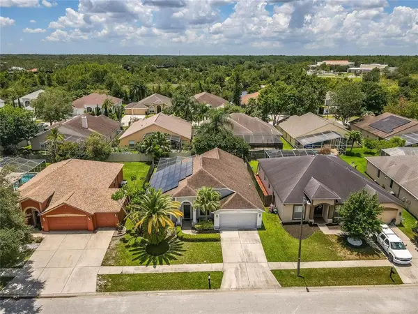 18122 Palm Breeze Dr, Tampa, FL 33647