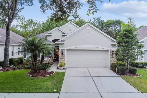 Tampa, FL 33647,17914 Timber View St