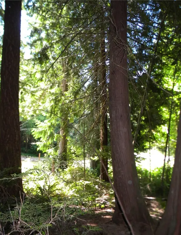 E Fox Ln, Shelton, WA 98584
