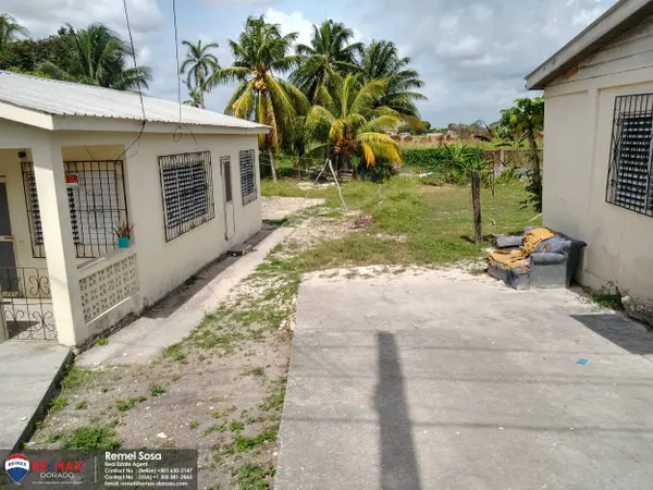 Asuncion St Orange Walk Town #2