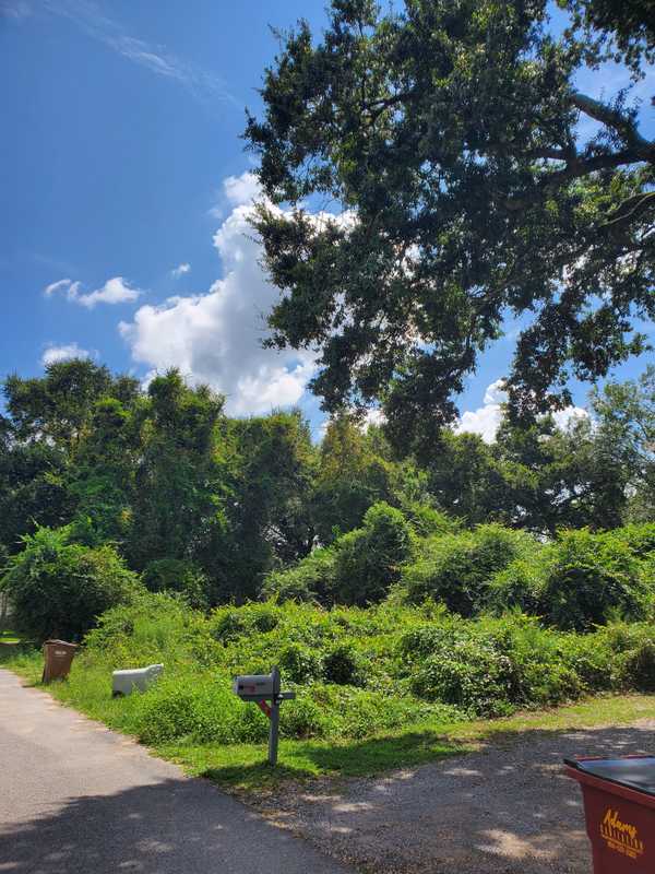 Milton, FL 32571,4241 Ewell St
