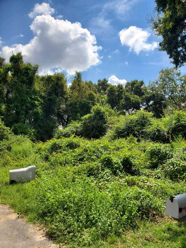 Milton, FL 32571,4241 Ewell St