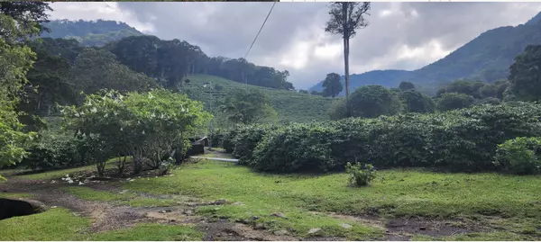 Volcan