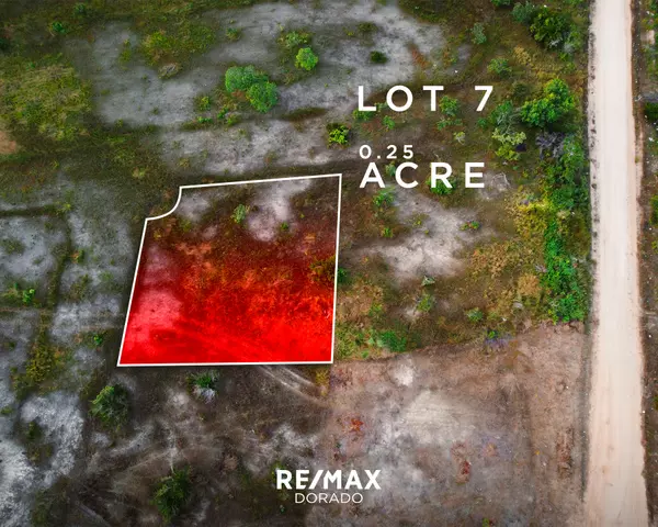 Burrell Boom Village, District,Mussel Creek Road #LOT #7
